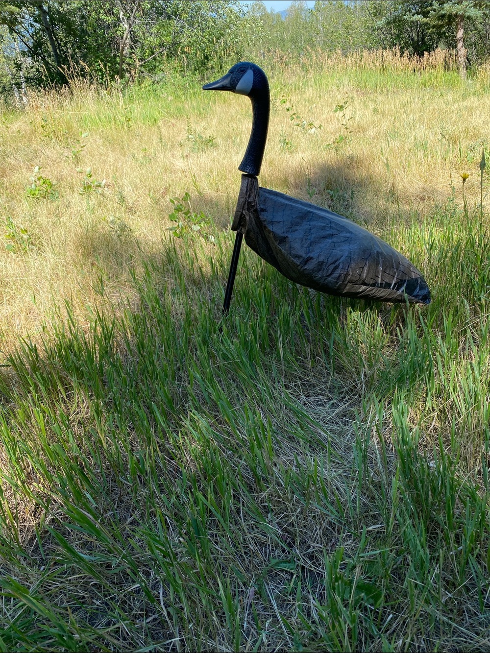 Black Lawn Goose Decoy for Birds - Unbranded 8 total